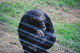 QQ20191029-224714.png
