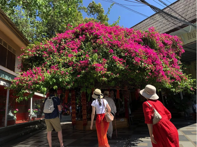 QQ20191126-204310.png