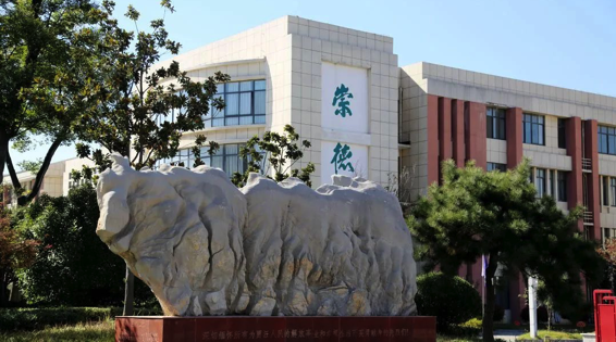 江浙沪最便宜的日本班|学费仅4.5万一年！江苏师范大学附属实验日本班2024年招生简章